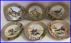 1916 Hand-painted Gilt Bird Cabinet Plates 8.5 in Signed Amelia Smeltz set of 6