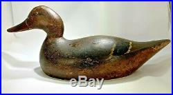 1920's Walter Evans Mallard Duck Decoy Original Paint Glass Eyes 18 1/4 Signed