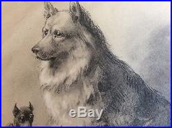 3 Old Original Oil Pencil Signed /vintage Dog /realism
