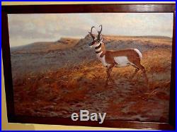 $800 VINTAGE AUTH Signed Jim Morgan Oil Antelope Pronghorn Buck Deer, Landscape
