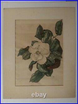 Alice Scott (1924-2005) MAGNOLIA 22X17 1/2 VERY VINTAGE SHOWS AGE NEEDS LOVE