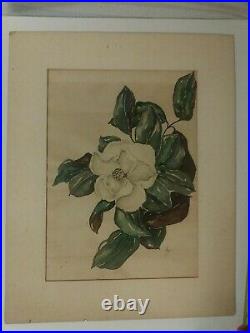 Alice Scott (1924-2005) MAGNOLIA 22X17 1/2 VERY VINTAGE SHOWS AGE NEEDS LOVE