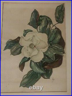 Alice Scott (1924-2005) MAGNOLIA 22X17 1/2 VERY VINTAGE SHOWS AGE NEEDS LOVE