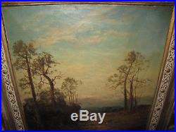 Antique Original Oil Painting on Canvas LANDSCAPE SIGNED Illegibly Vintage