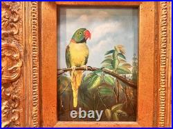 Antique Parrot Painting on Board Signed Terry Gold Gilt Frame Vintage Bird Art