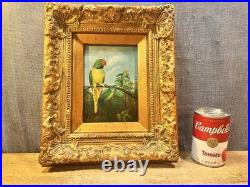 Antique Parrot Painting on Board Signed Terry Gold Gilt Frame Vintage Bird Art
