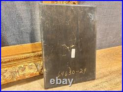 Antique Parrot Painting on Board Signed Terry Gold Gilt Frame Vintage Bird Art