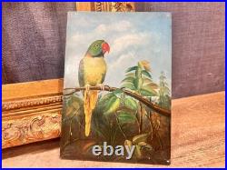 Antique Parrot Painting on Board Signed Terry Gold Gilt Frame Vintage Bird Art