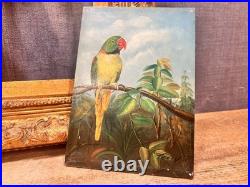 Antique Parrot Painting on Board Signed Terry Gold Gilt Frame Vintage Bird Art
