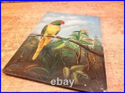 Antique Parrot Painting on Board Signed Terry Gold Gilt Frame Vintage Bird Art
