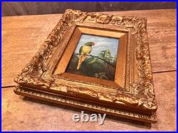 Antique Parrot Painting on Board Signed Terry Gold Gilt Frame Vintage Bird Art