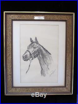 Authentic VINTAGE HORSE PAINTING / DRAWING SULTAN SIGNED fine art ROBINSON