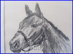 Authentic VINTAGE HORSE PAINTING / DRAWING SULTAN SIGNED fine art ROBINSON