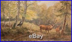 Beautiful Vintage Oil Painting of Deer in the Woods Signed W. Venter & Framed