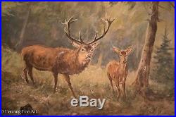 Beautiful Vintage Oil Painting of Deer in the Woods Signed W. Venter & Framed