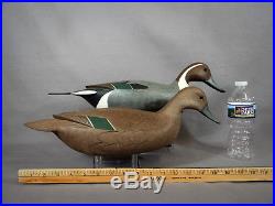 Excellent PAIR Signed George Strunk Swimming Pintail Decoys Original Paint