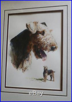 HANK RICHTER, LISTED SIGNED VINTAGE CANINE DOG TERRIER, Arizona ILLUSTRATOR AZ