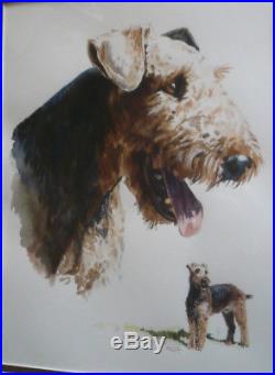 HANK RICHTER, LISTED SIGNED VINTAGE CANINE DOG TERRIER, Arizona ILLUSTRATOR AZ