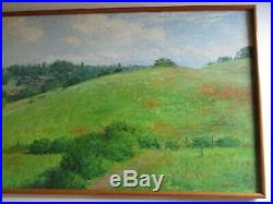 Large Watson Signed Oil Painting Vintage California Blooming Poppies Landscape