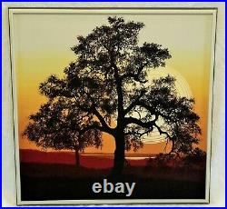 Mid Century Modern Letterman Framed Canvas Tree with Sunset