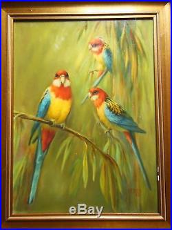Original Vintage Oil Painting Australia Parakeet Parrot Bird Signed Wesner'82
