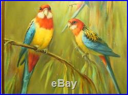 Original Vintage Oil Painting Australia Parakeet Parrot Bird Signed Wesner'82