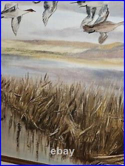 Original Vtg 1982 Art On Canvas Board Framed Pintail Ducks Signed Eileen Frieden