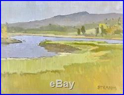 PAUL STRAHM Vintage CA Plein Air Impressionist Painting Marsh Lake Original Oil