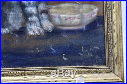 Signed Antique Oil Painting of Kitten with Bowl 11 x 13