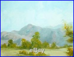 Signed S. Stewert Vintage California Desert Landscape Oil Painting (Framed)