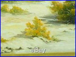 Signed S. Stewert Vintage California Desert Landscape Oil Painting (Framed)