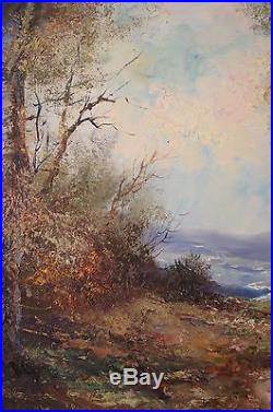 Stunning Impressionist Signed Oil Canvas Woodland Landscape Realism Vtg Painting