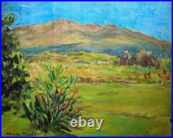 VINTAGE HAWAIIAN LANDSCAPE PAINTINGS 1940s/1950s MAUNA LOA MAUNA KEA Sold AS IS