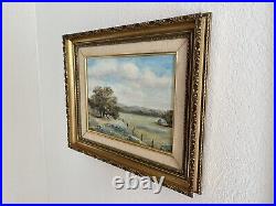 VTG 1969 Rozina Brown Texas Bluebonnet Artist Signed Framed Oil Painting Board