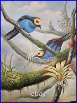 VTG Original Acrylic Painting Tanager Birds Tropics By J. Brousseau Signed Art