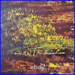 VTG Sunset Forest Landscape Phillip Cantrell Oil Painting Signed Framed 26x30
