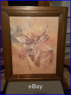 Vintage 1978 signed K Maroon deer sketch, Mint condition