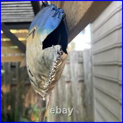 Vintage 3FT Trade Sign Rustic Hand Painted Metal Blue Fin Tuna Fish Sculpture 3D