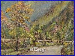 Vintage BLUE RIDGE PARKWAY Mountains Oil PAINTING Frame by Walker FOSTTER c1950