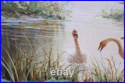 Vintage Bathing Swans Lilly Pads Landscape Oil Painting Canvas Signed Mcdonald