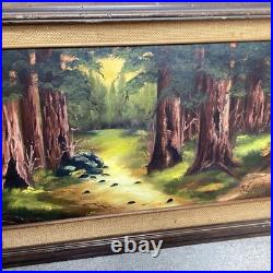 Vintage California Redwood Forest Oil Painting Signed By Sue Wheeler