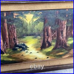 Vintage California Redwood Forest Oil Painting Signed By Sue Wheeler