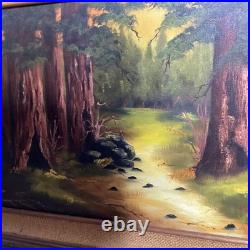 Vintage California Redwood Forest Oil Painting Signed By Sue Wheeler