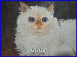 Vintage Cat Painting- Framed and Signed