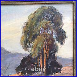 Vintage Fay McCulloch California Impressionist Oil Painting Plein Air 18 x 19
