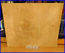 Vintage Hi-lex Bleach Metal Advertising Sign / Painted Graphics Rare Find