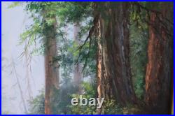 Vintage Landscape Jungle Waterfall Oil Painting On Canvas Signed Wanda Illegible