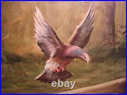 Vintage Original Barnyard Chickens Birds Oil Painting Signed