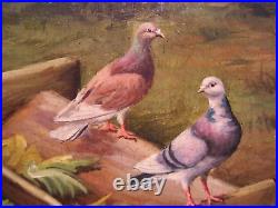 Vintage Original Barnyard Chickens Birds Oil Painting Signed