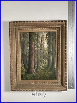 Vintage Original Oil Painting -Plein Air Red Wood Forest Landscape-Signed
